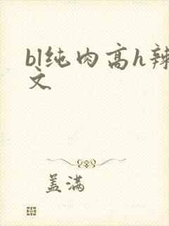 bl纯肉高h辣文