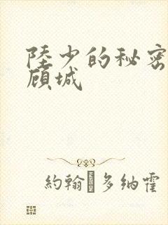 陆少的秘密恋人顾城