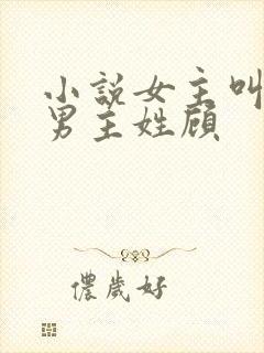 小说女主叫苏曼男主姓顾封面
