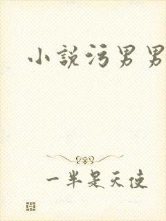 小说污男男h