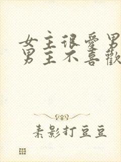 女主很爱男主但男主不喜欢她的小说