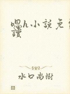 嗯h小说免费阅读