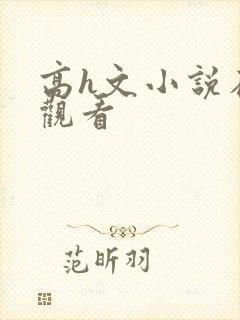 高h文小说在线观看