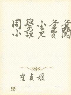 同学小爸爸李凯小说免费阅读全文