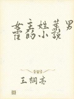 女主姓叶男主姓霍的小说