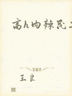 高h肉辣民工文