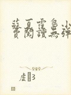 苏夏霍枭小说免费阅读无弹窗正版封面