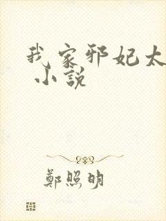 我家邪妃太嚣张 小说封面