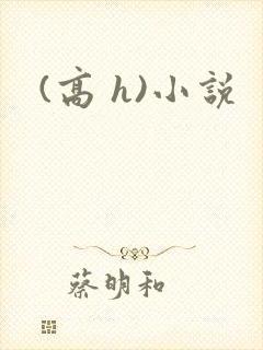 (高 h)小说