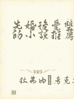 先婚后爱双男主的小说推荐