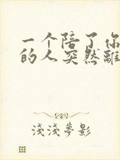 一个陪了你很久的人突然离开