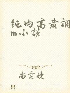 纯肉高黄调教sm小说