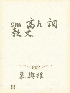 sm 高h 调教文封面
