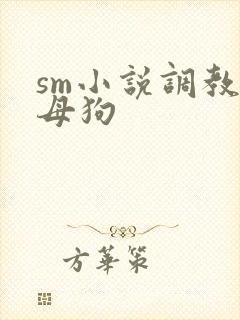 sm小说调教小母狗