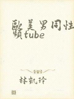 欧美男同性恋视频tube