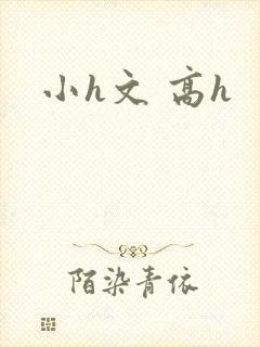 小h文 高h