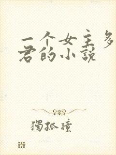 一个女主多个夫君的小说