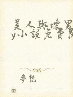 美人与坏男人by小说免费阅读