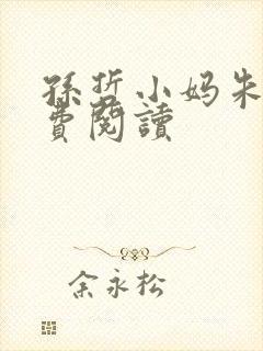 孙哲小妈朱颜免费阅读封面