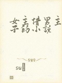 女主借男主生孩子的小说