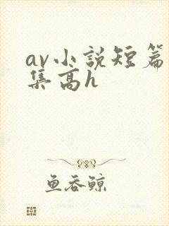 av小说短篇合集高h