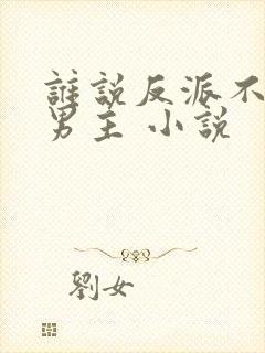 谁说反派不能当男主 小说