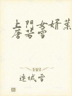 上门女婿叶凡与唐若雪封面