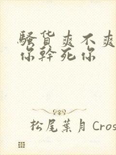 骚货爽不爽操死你干死你封面