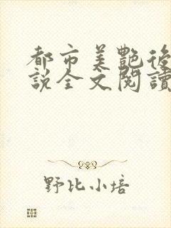 都市美艳后宫小说全文阅读免费