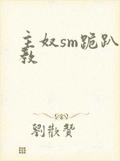 主奴sm跪趴调教