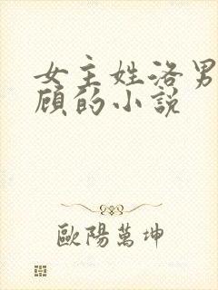 女主姓洛男主姓顾的小说