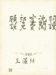 顾祁宸沈羽栀小说免费阅读最新章节封面