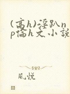 (高h)淫趴np伦h文小说
