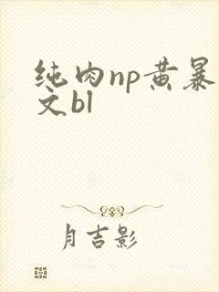 纯肉np黄暴h文bl