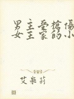 男主受枪伤躲进女主家的小说