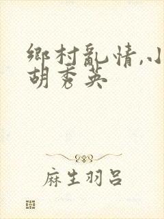 乡村乱情,小雷胡秀英封面