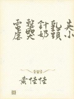 电击针乳夹虐奶虐哭奶头小说