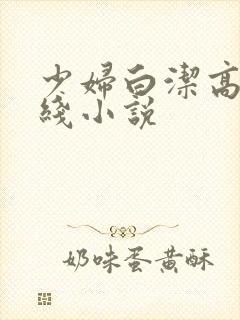 少妇白洁高义在线小说