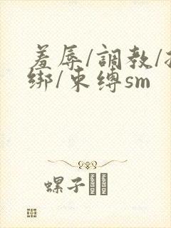 羞辱/调教/捆绑/束缚sm封面