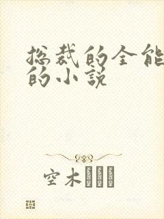 总裁的全能秘书的小说