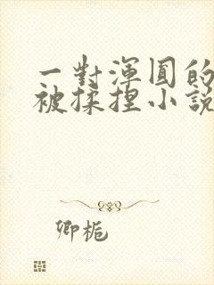 一对浑圆的胸乳被揉捏小说