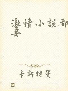 激情小说都市人妻