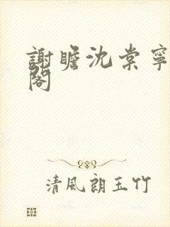 谢瞻沈棠宁笔趣阁