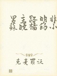 男主路明非女主苏晓樯的小说