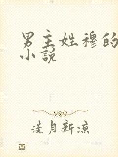 男主姓穆的总裁小说
