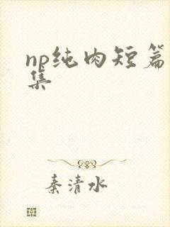 np纯肉短篇合集