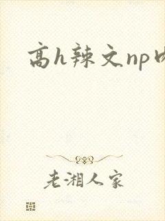 高h辣文np肉