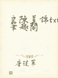 良陈美锦txt笔趣阁封面