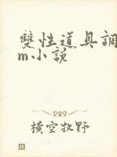 双性道具调教sm小说