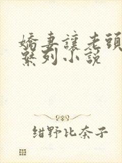 娇妻让老头泄欲系列小说封面